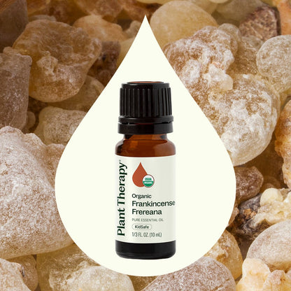 Plant Therapy Essential Oil Organic Frankincense Frereana Essential Oil
