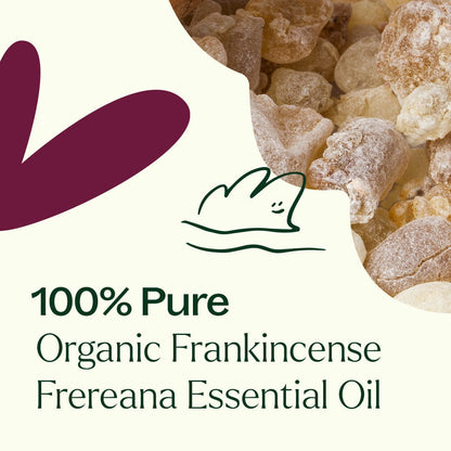 Plant Therapy Essential Oil Organic Frankincense Frereana Essential Oil