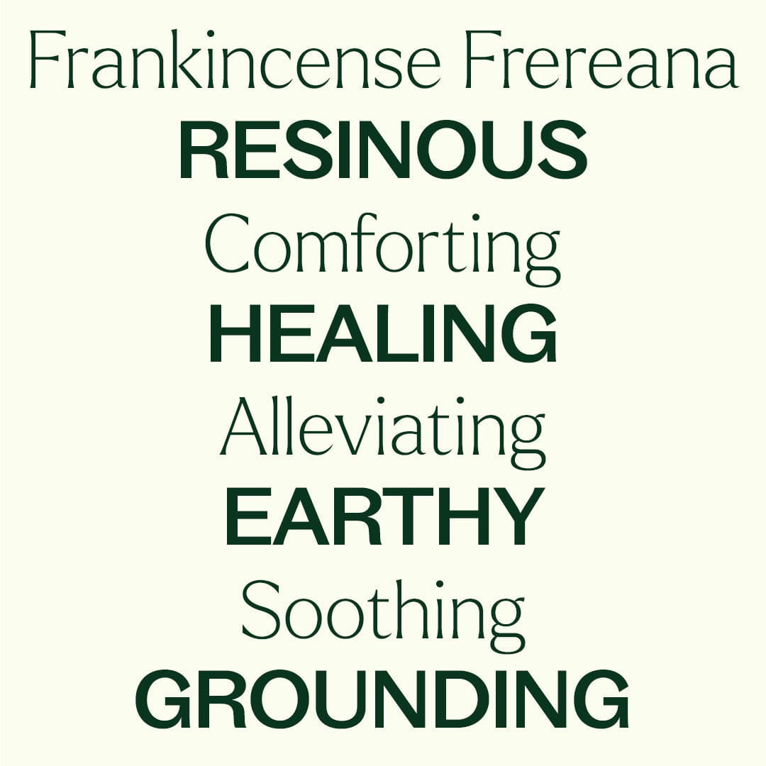 Plant Therapy Essential Oil Organic Frankincense Frereana Essential Oil