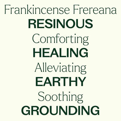 Plant Therapy Essential Oil Organic Frankincense Frereana Essential Oil