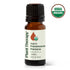 Plant Therapy Essential Oil 10 mL Organic Frankincense Frereana Essential Oil