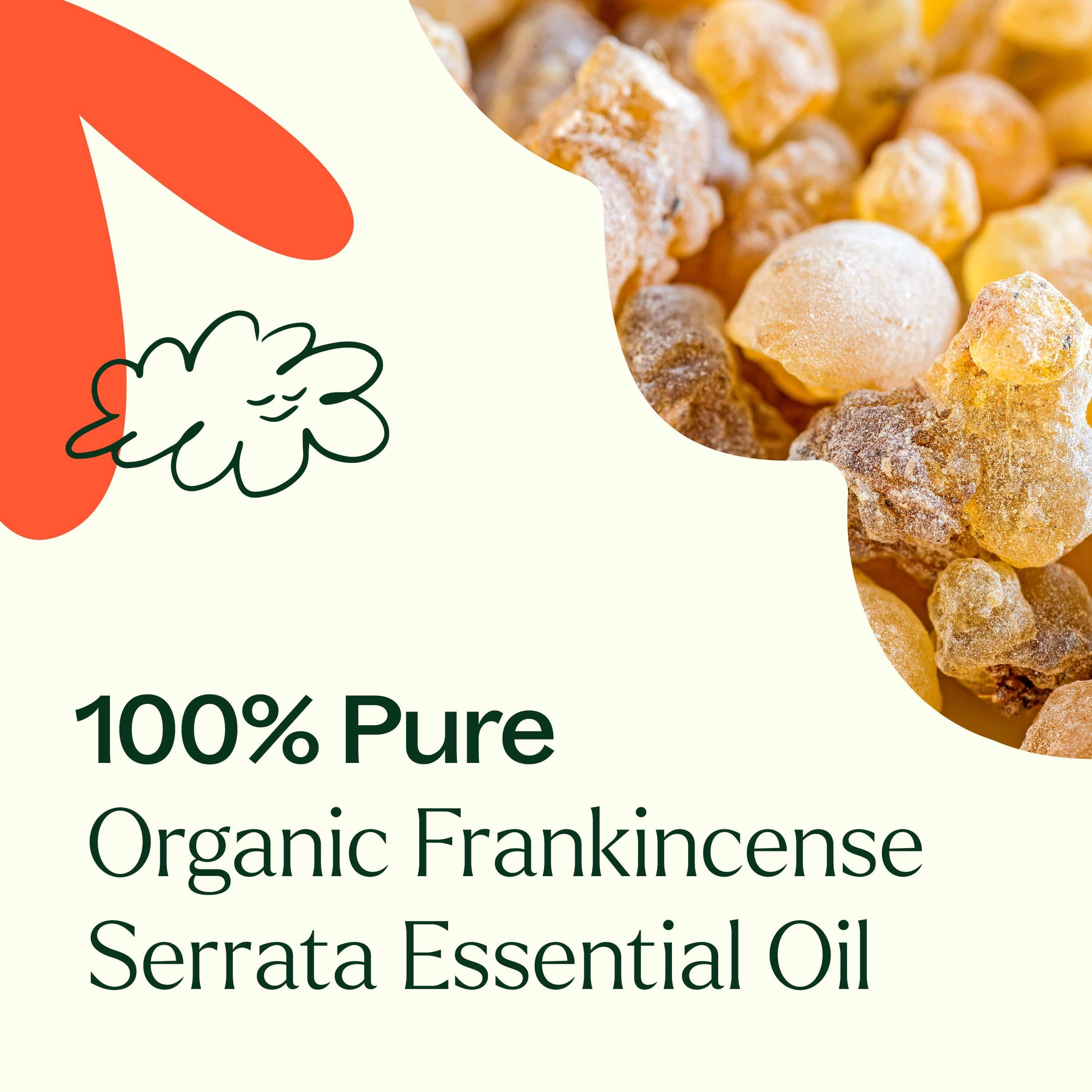 Plant Therapy Essential Oil Organic Frankincense Serrata Essential Oil