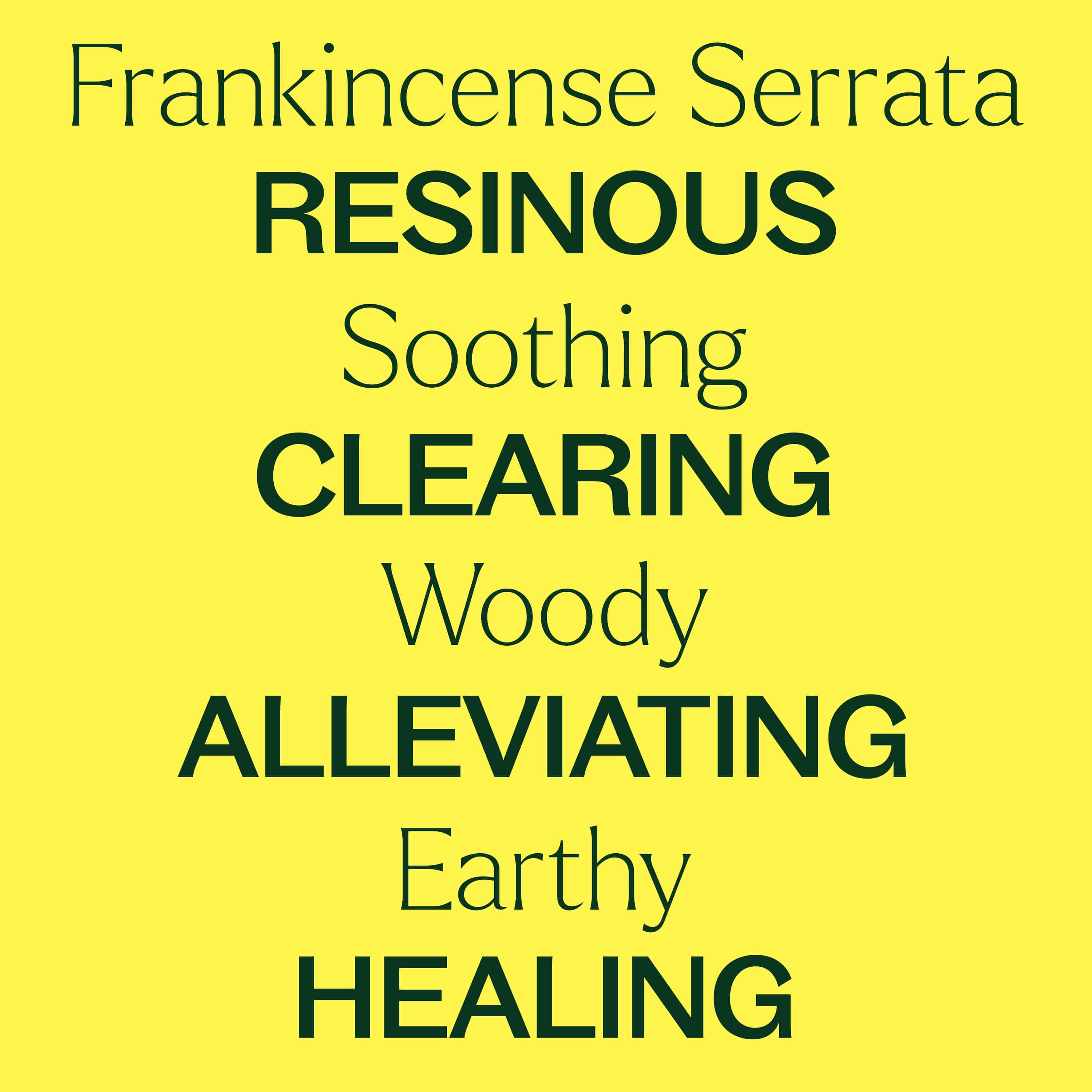 Plant Therapy Essential Oil Organic Frankincense Serrata Essential Oil