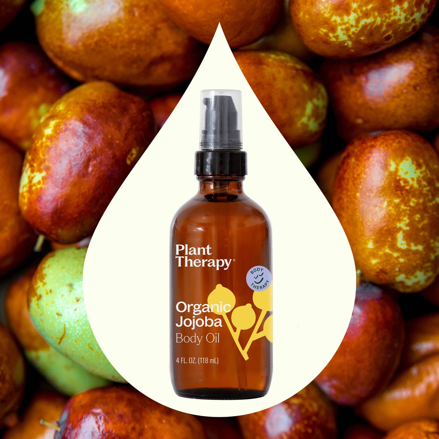Plant Therapy Body Care 4 oz Organic Jojoba Body Oil 4 oz