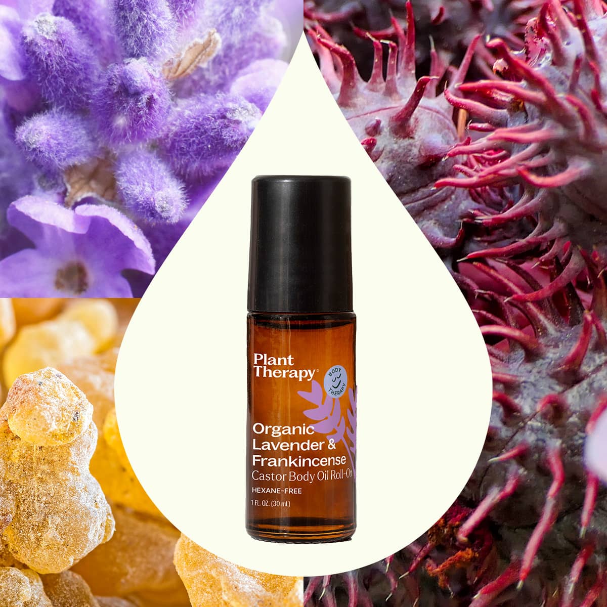 Plant Therapy Body Care 30 ml Organic Lavender &amp; Frankincense Castor Body Oil Roll-On 30 mL