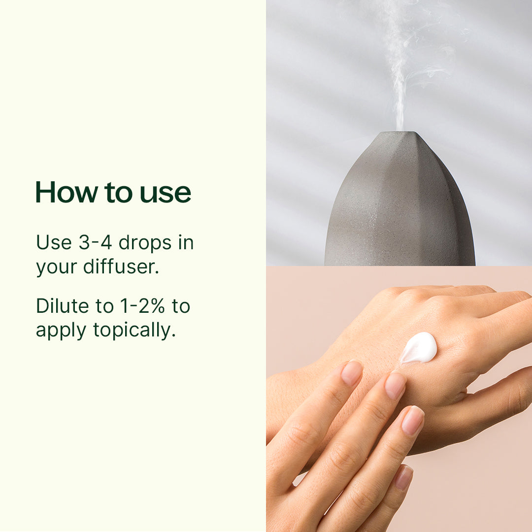 Organic Lemon 5-Pack