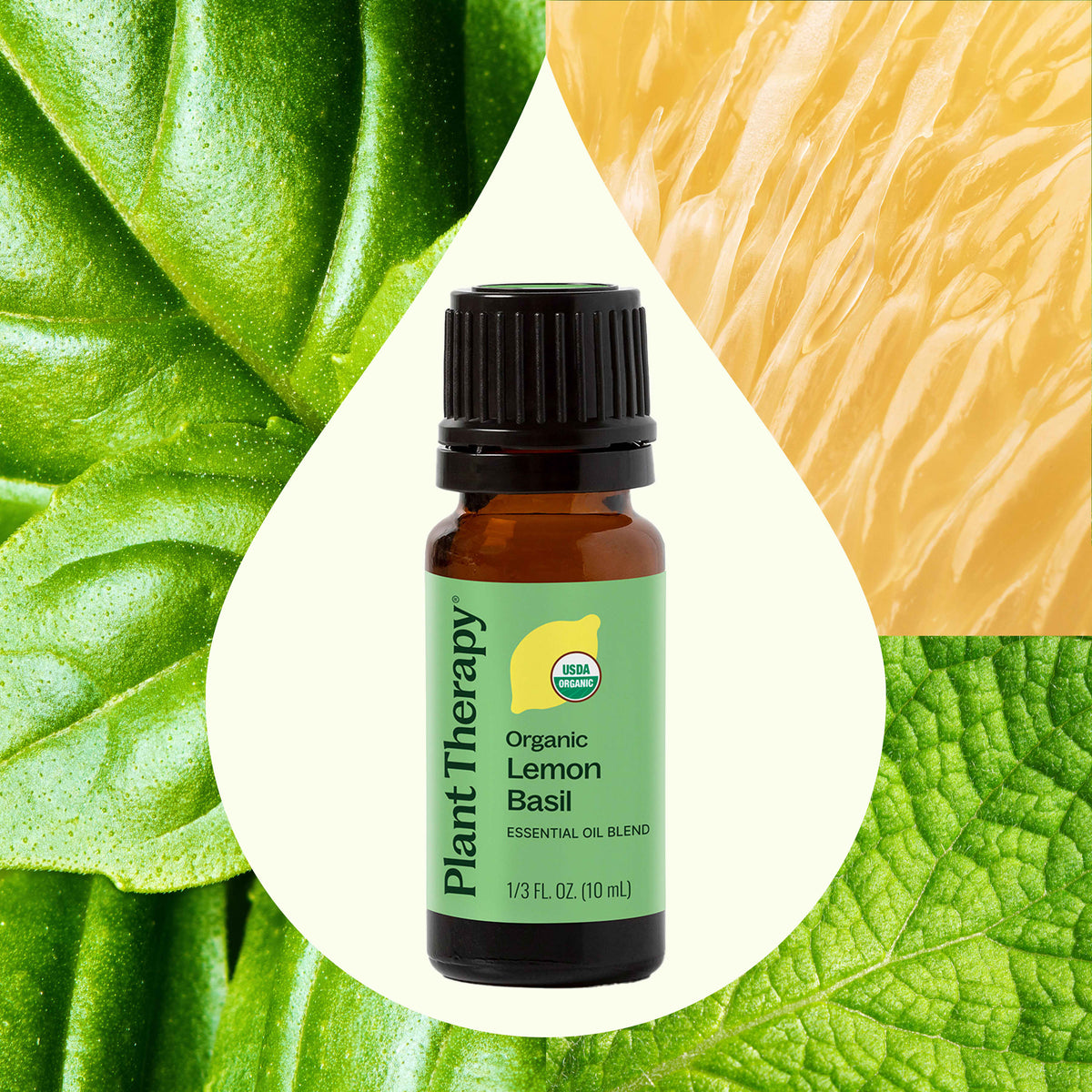 Organic Lemon Basil Essential Oil Blend
