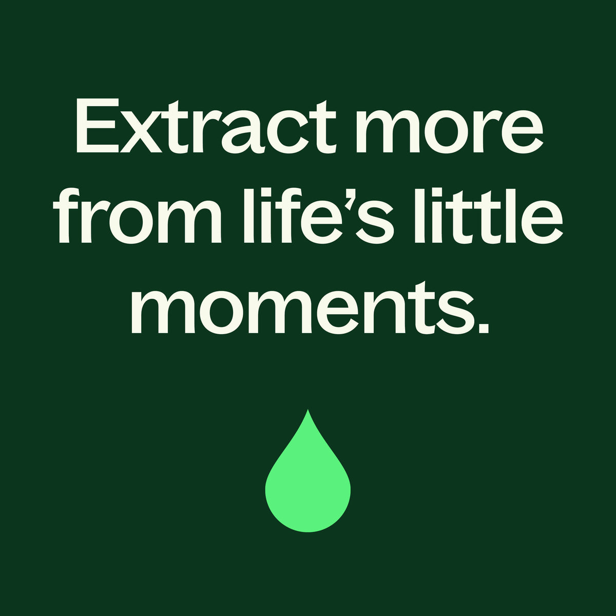 Organic Lemon Basil Essential Oil Blend