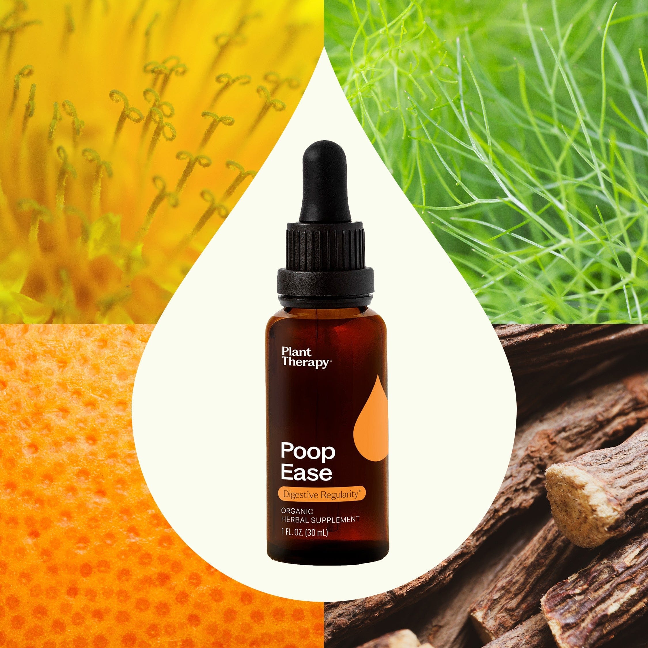 Plant Therapy Supplement 30 mL PoopEase Organic Herbal Supplement