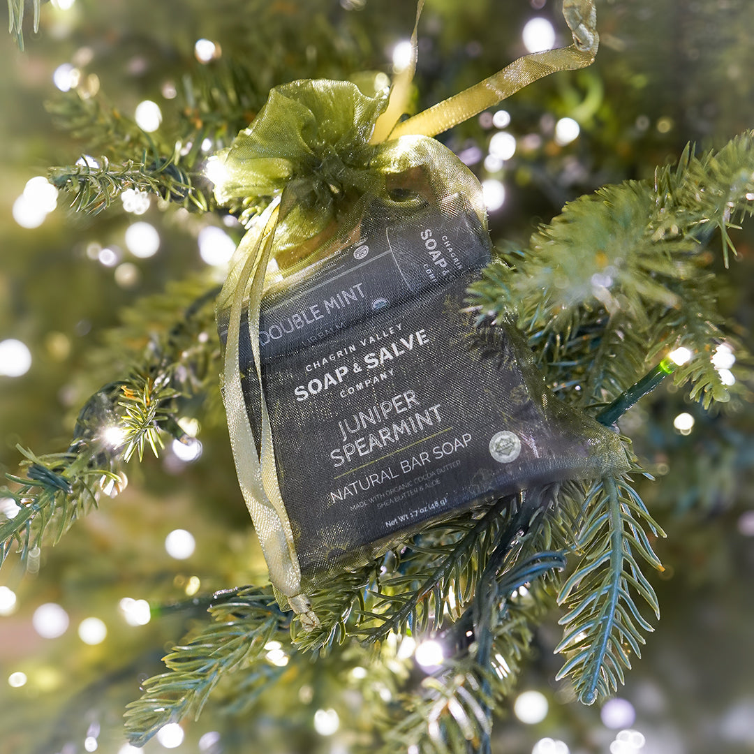 Gift: Soap Sample with Lip Balm &amp; Lotion Bar