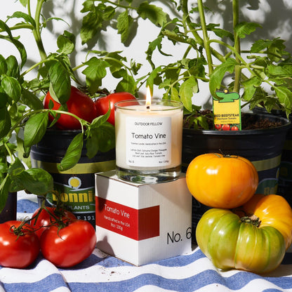 Tomato Vine Scented Candle - My American Goods