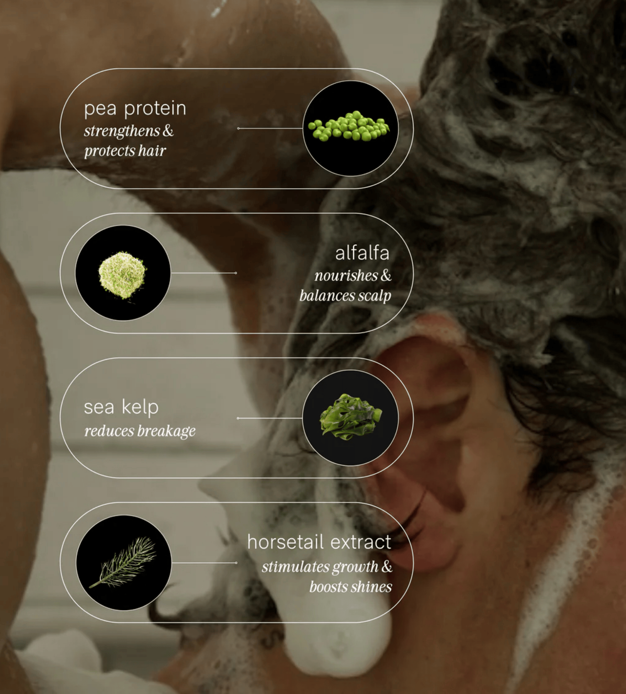 JACK HENRY Creamy Shampoo