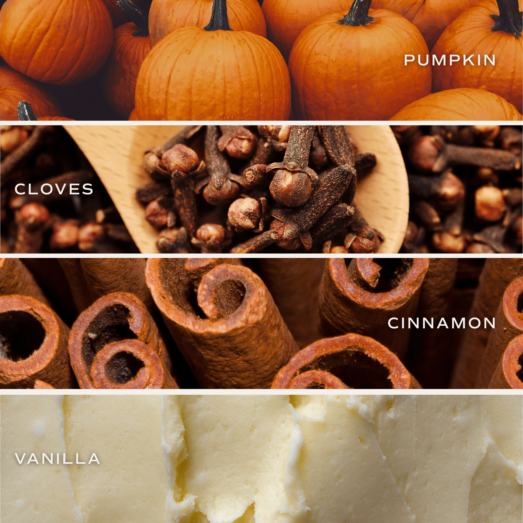 Pumpkin Spice Soy Candle | 9oz. Clear Jar