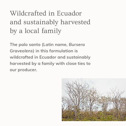 Palo Santo Hair &amp; Body Mist (4oz)