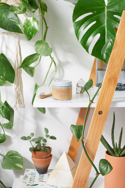 All Natural Organic Whitening Toothpaste / Remineralizing Toothpaste - My American Goods
