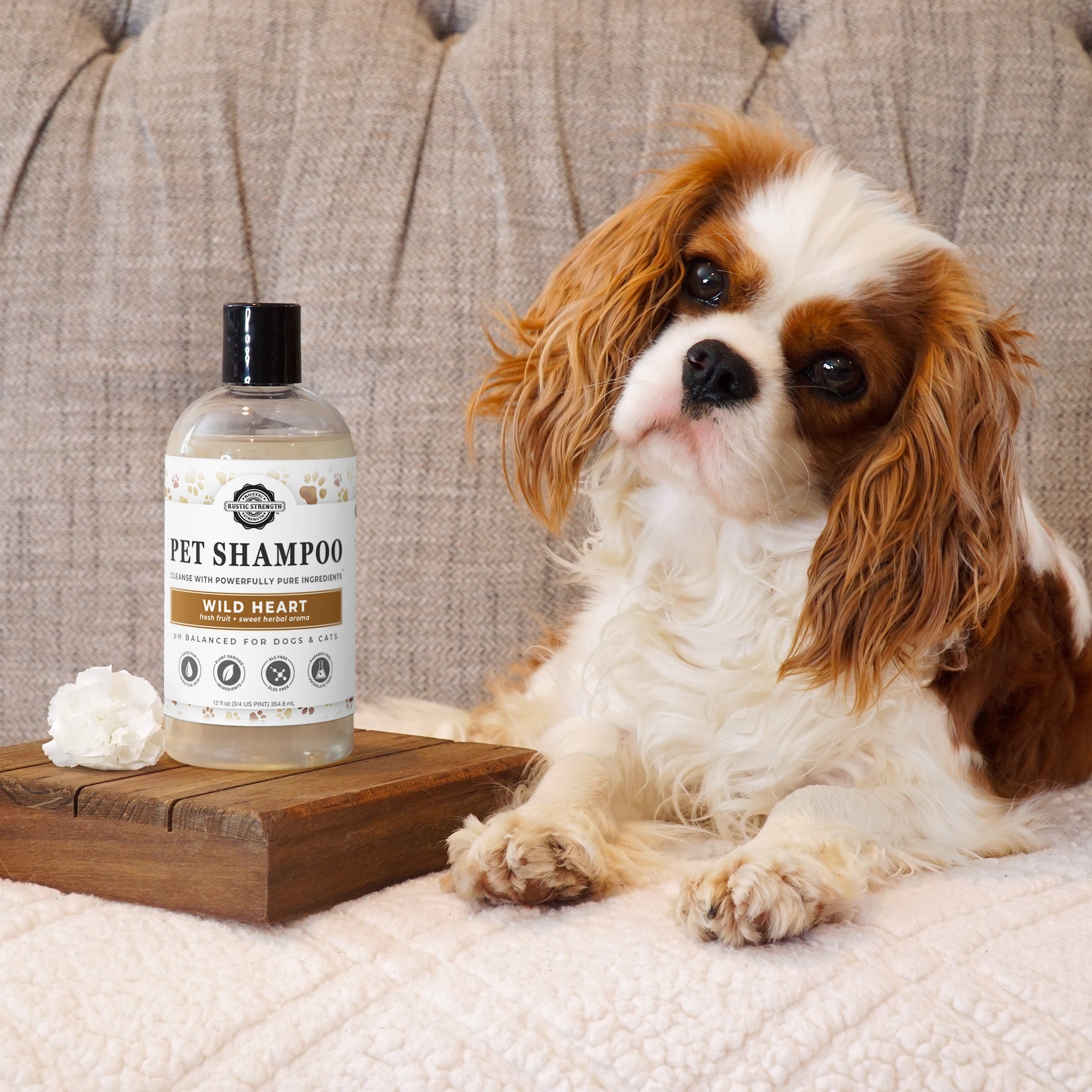 Pet Shampoo | Soothing &amp; Deodorizing | Unscented