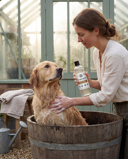 Pet Conditioner | Detangling &amp; Softening | Wild Heart