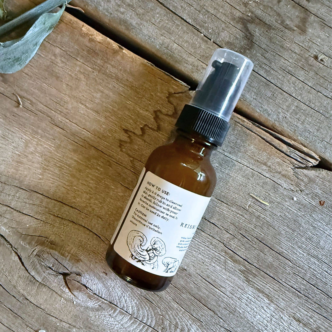 Photo Finish Reishi &amp; Pomegranate Serum