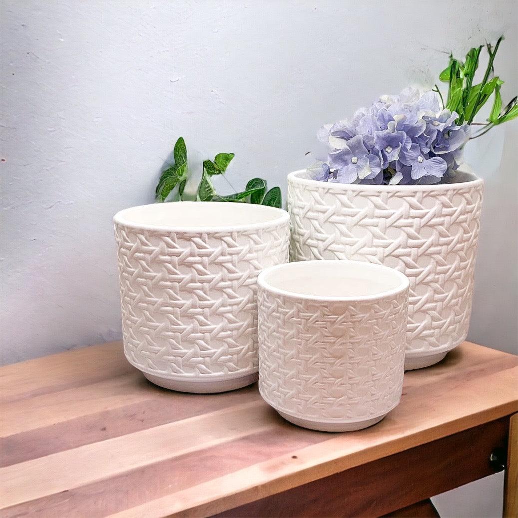 Gia Roma Webbing Planters