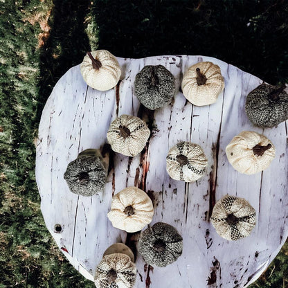 Mini Pumpkins 12pk - My American Goods