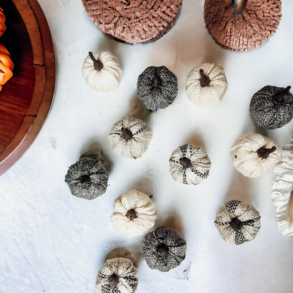 Mini Pumpkins 12pk - My American Goods