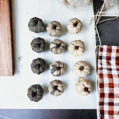 Mini Pumpkins 12pk - My American Goods