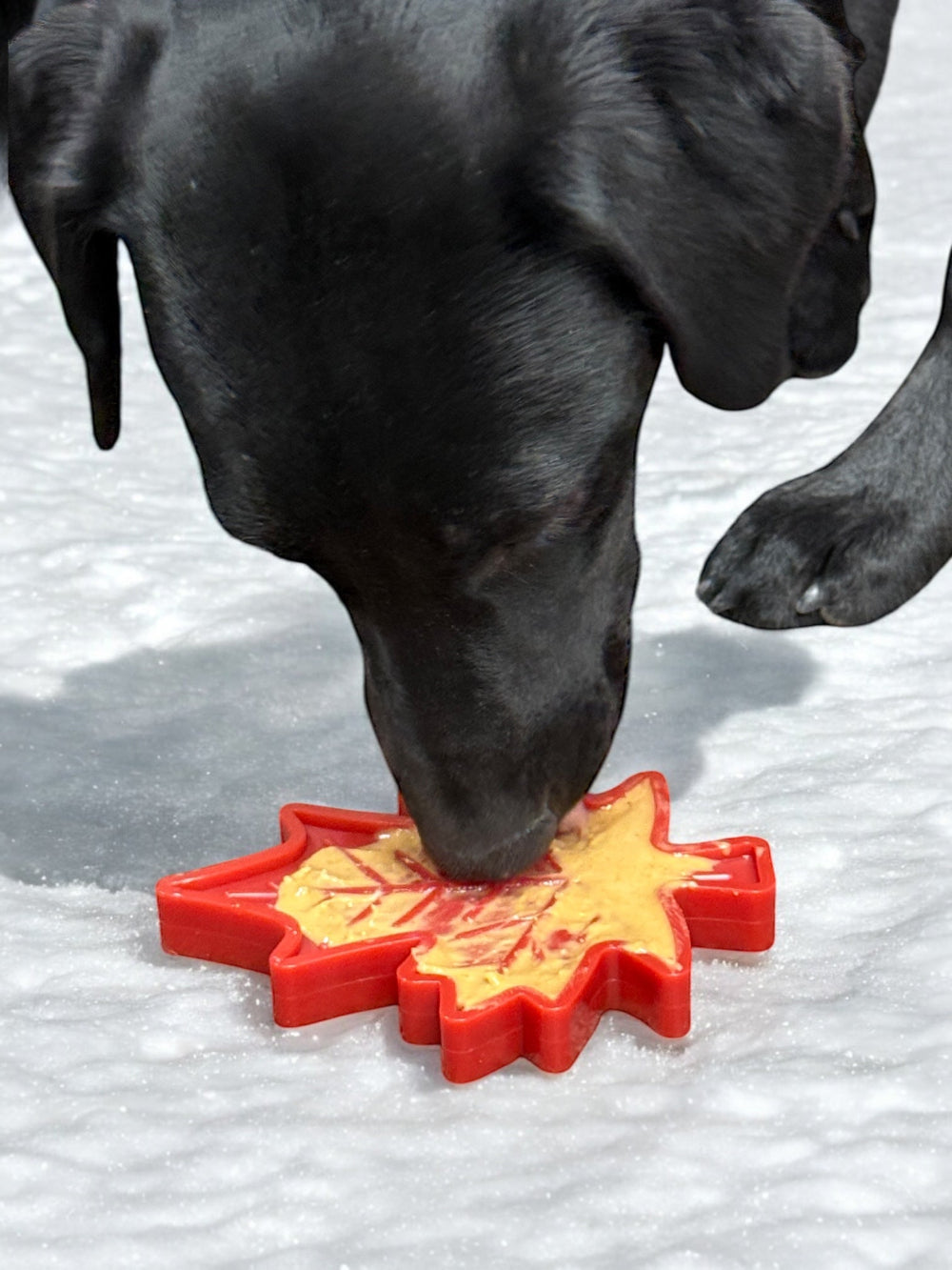 Canadian Maple Leaf Nylon Dog Chew Toy - Durable &amp; USA Made