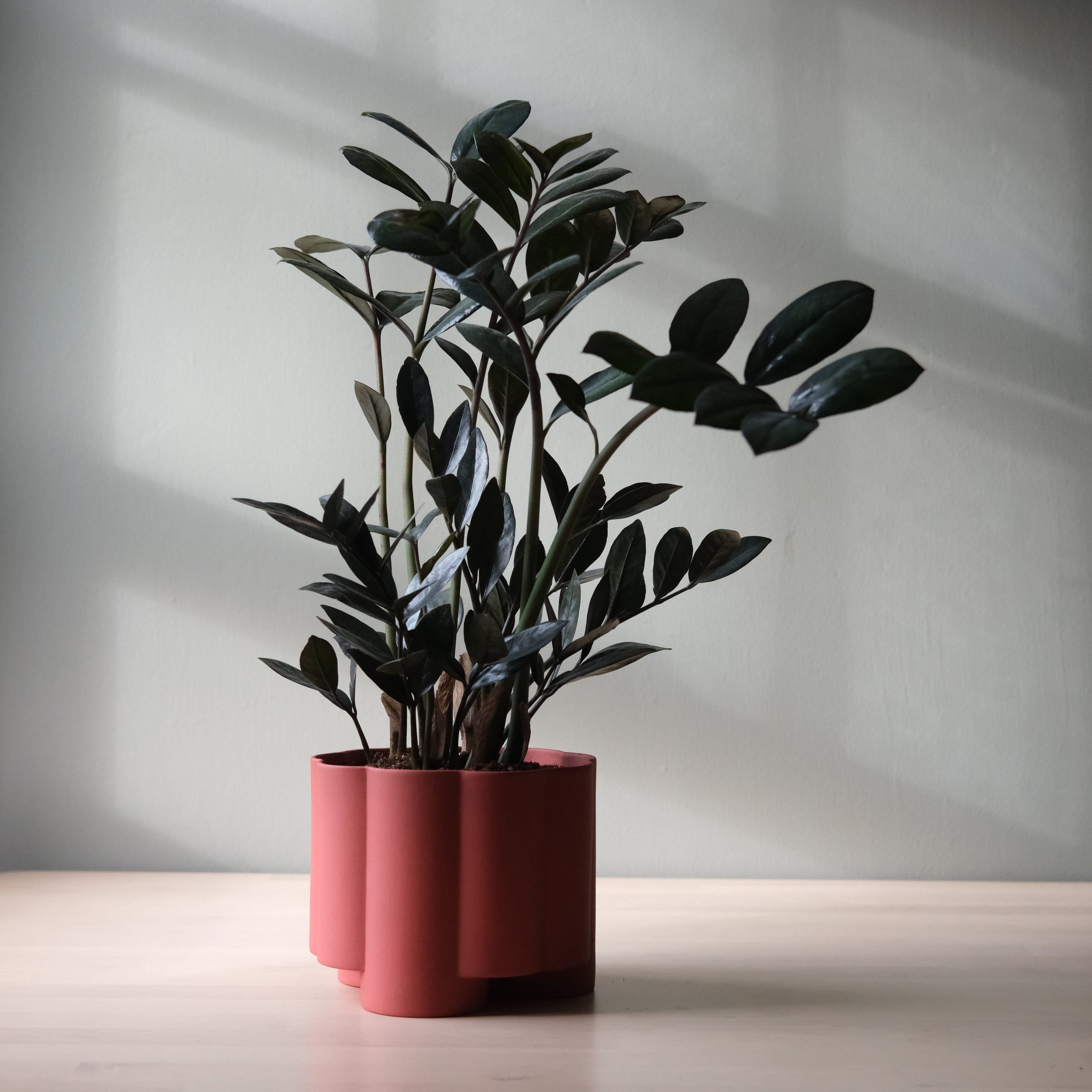 Misewell Pots &amp; Planters Pillar Planter