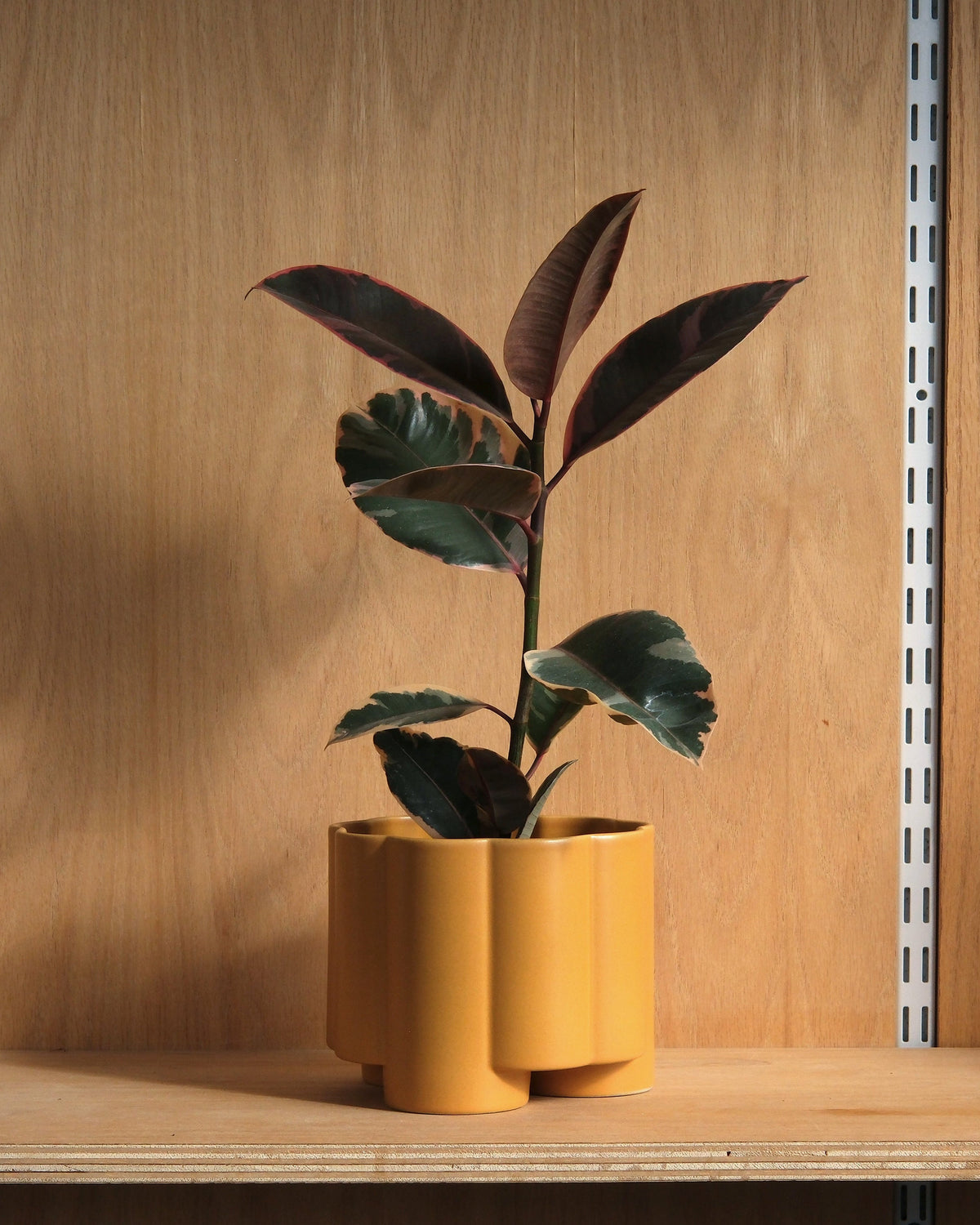 Pillar Planter