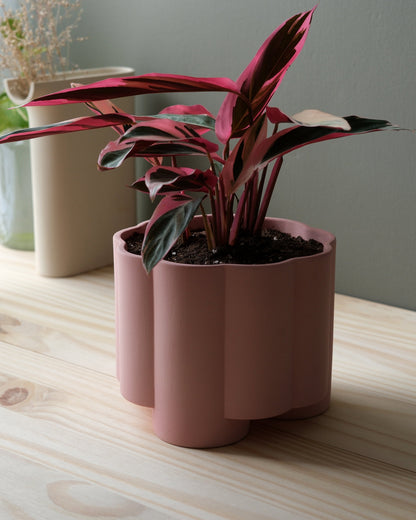 Pillar Planter