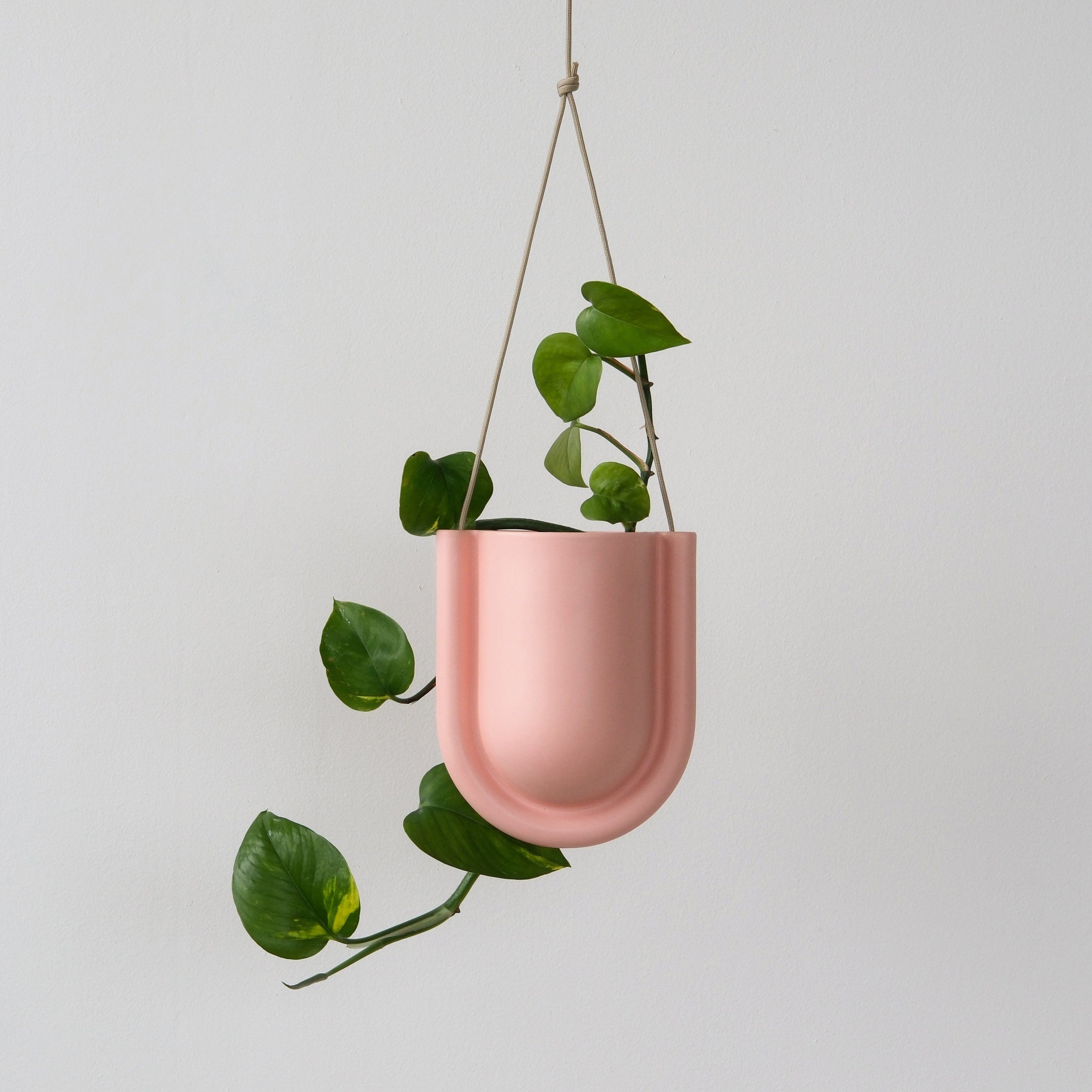 Misewell Pots &amp; Planters Pink Matte Portico Planter