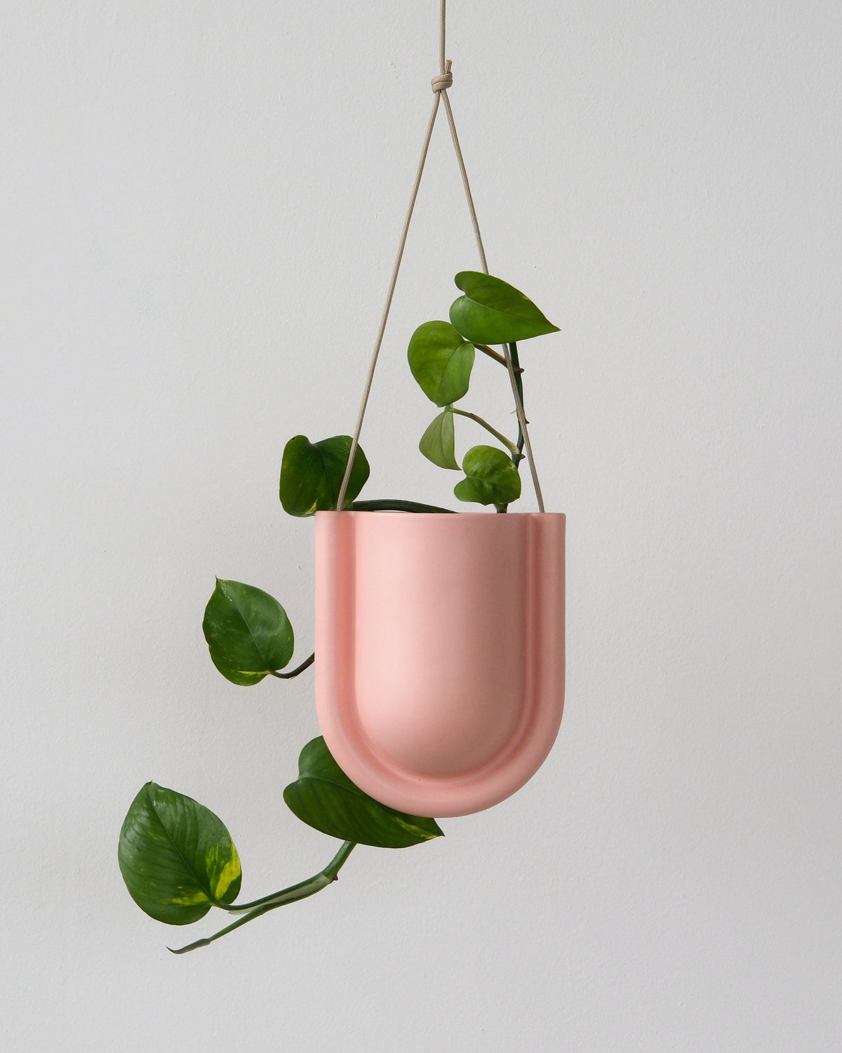 Portico Planter