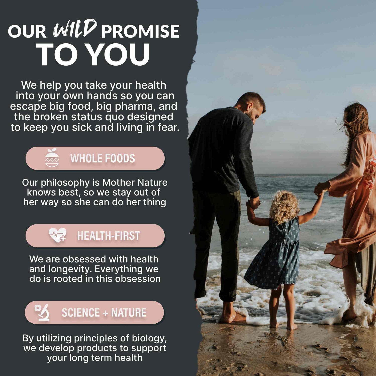 Himalayan Pink Salt – Mineral-Rich Gourmet Salt for Flavor &amp; Health