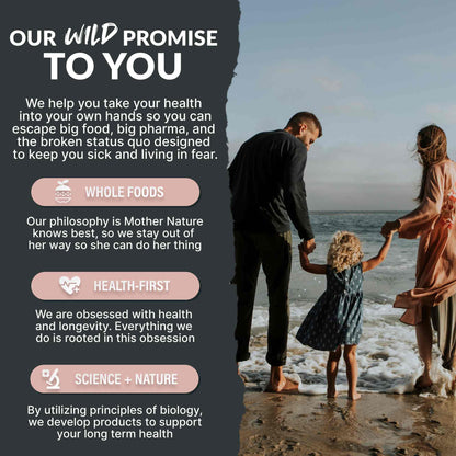 Himalayan Pink Salt – Mineral-Rich Gourmet Salt for Flavor &amp; Health