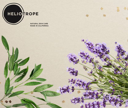 Heliotrope Discovery Kit - Shower Gift Set