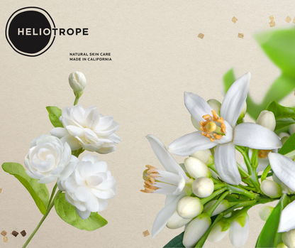 Heliotrope Discovery Kit - Shower Gift Set