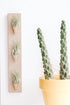 Triple Ceramic Wall Planter - My American Goods