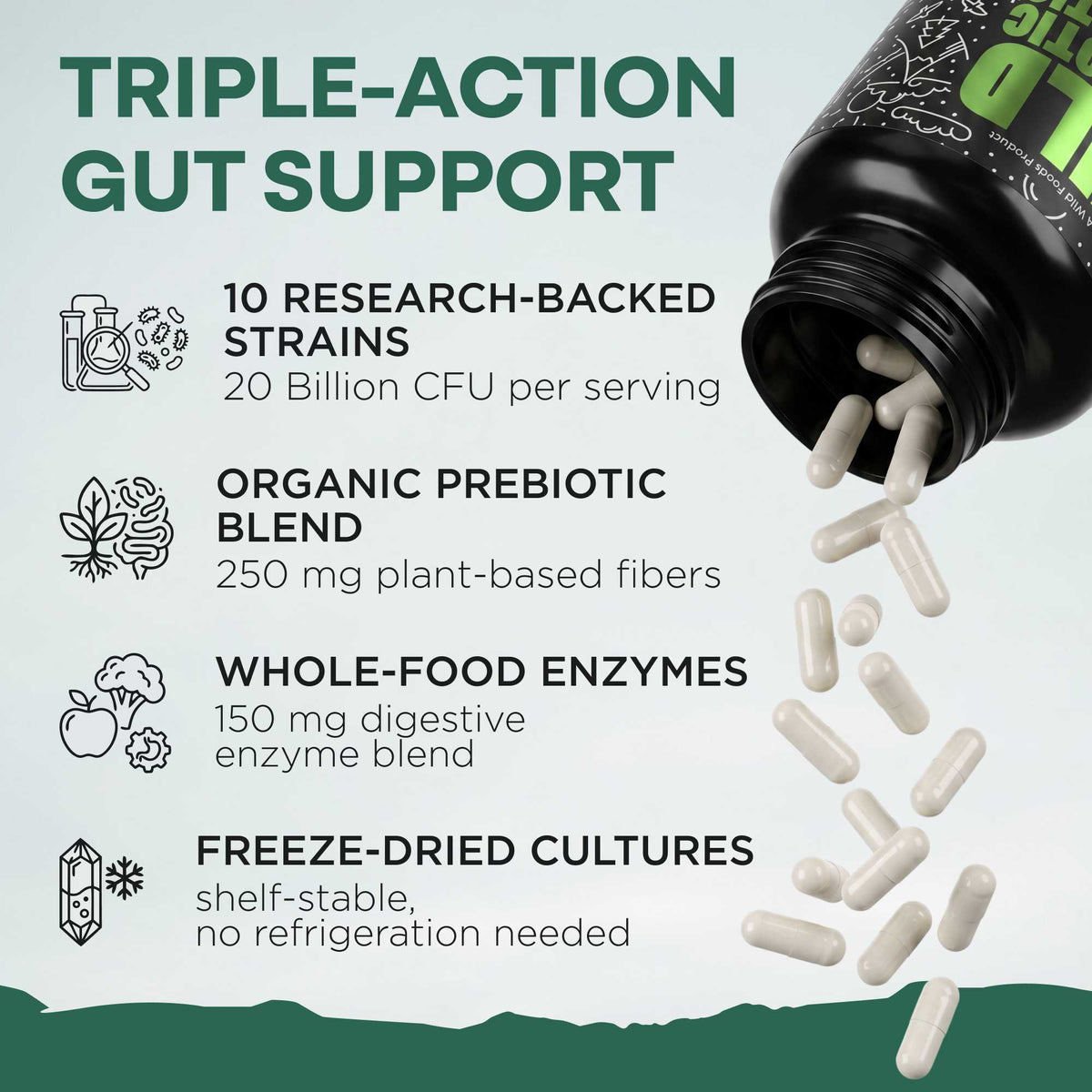 Wild Foods Supplements Prebiotics &amp; Probiotics, 30 servings – Gut Health &amp; Digestion Support