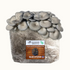 Premium Blue Oyster Mushroom Fruiting Block Grow Kit - 5 LBS - My American Goods