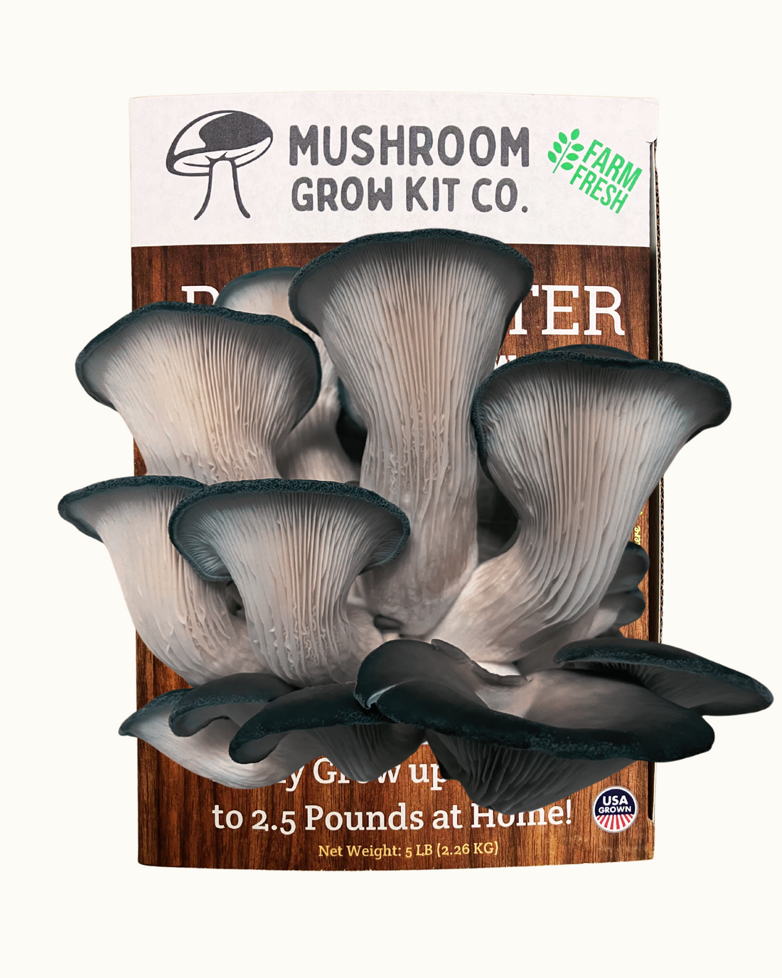 Premium Blue Oyster Mushroom Growing Kit - 5 LBS - My American Goods