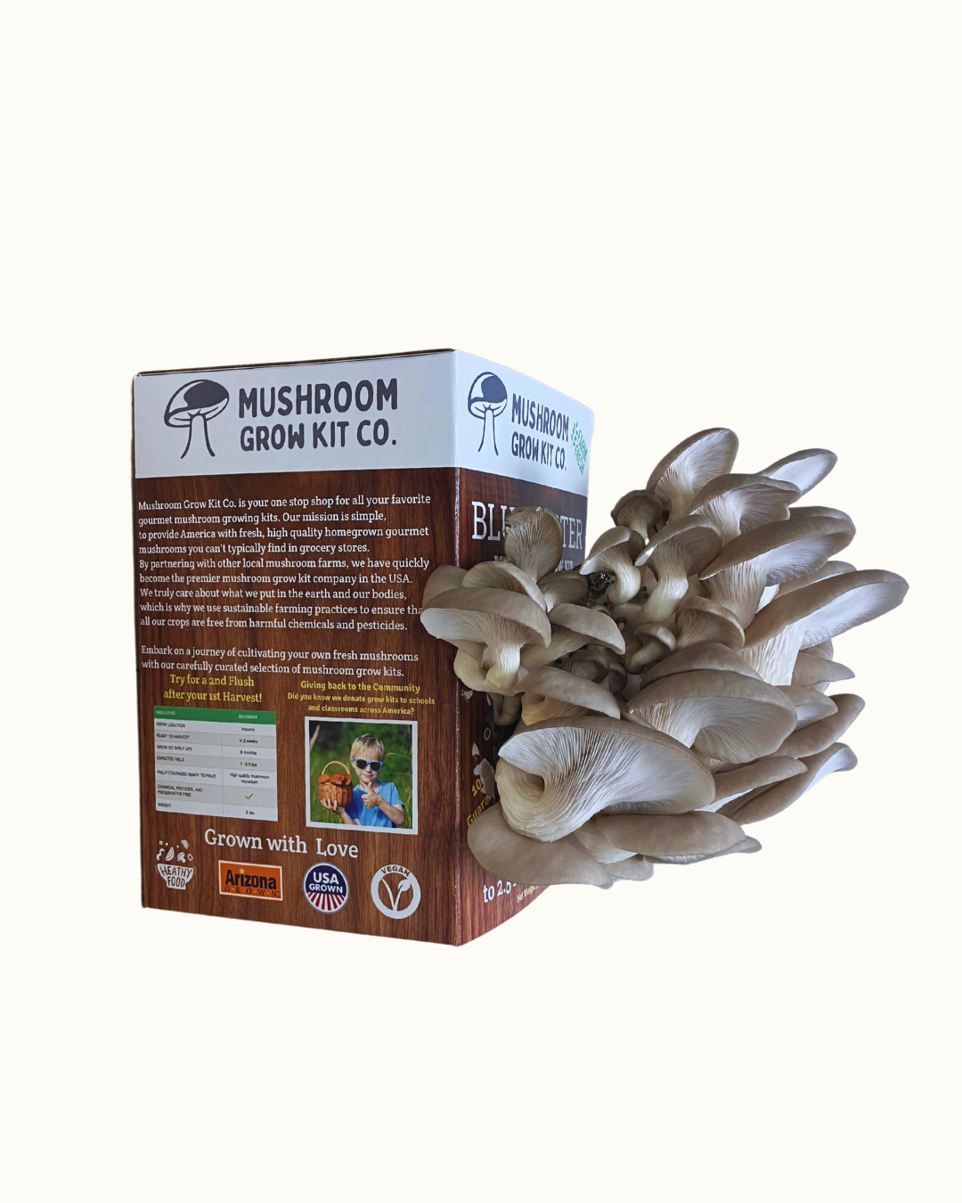 Premium Blue Oyster Mushroom Growing Kit - 5 LBS - My American Goods