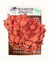Premium Pink Oyster Mushroom Growing Kit - 5 LBS - My American Goods