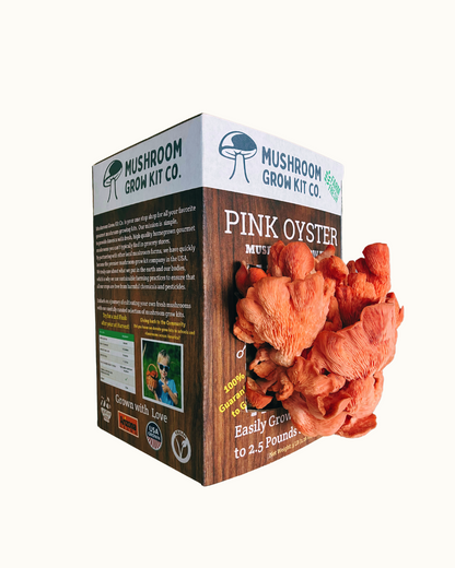 Premium Pink Oyster Mushroom Growing Kit - 5 LBS - My American Goods