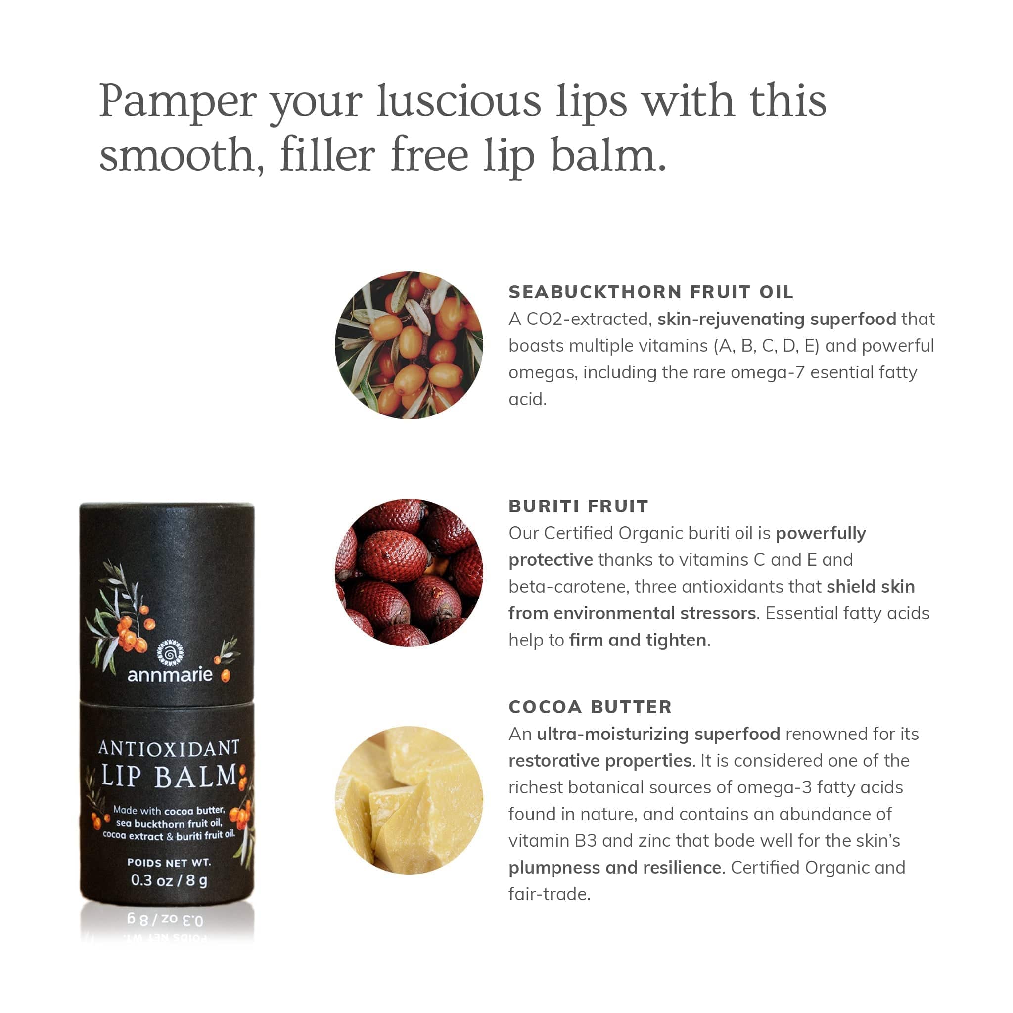 Annmarie Skin Care HIDDEN Antioxidant Lip Balm