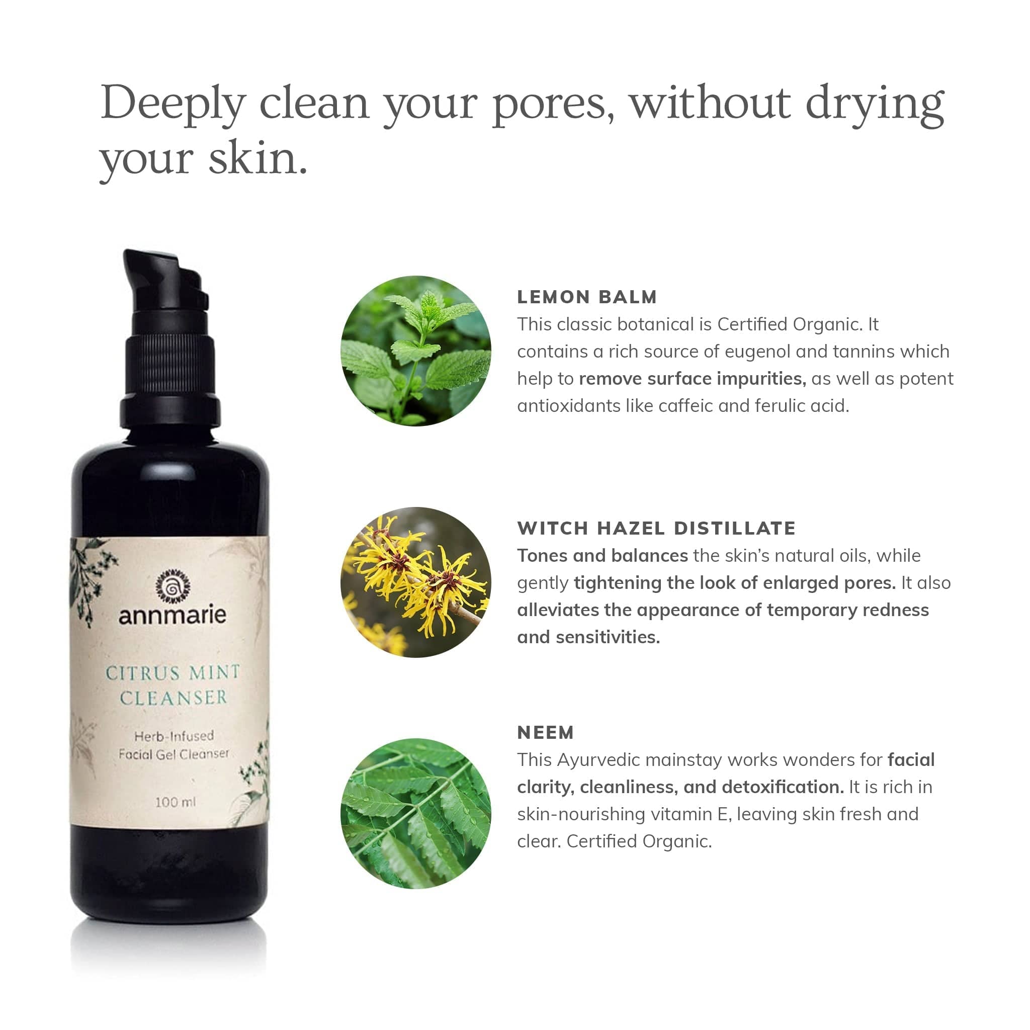 Annmarie Skin Care HIDDEN Citrus Mint Cleanser (100ml)