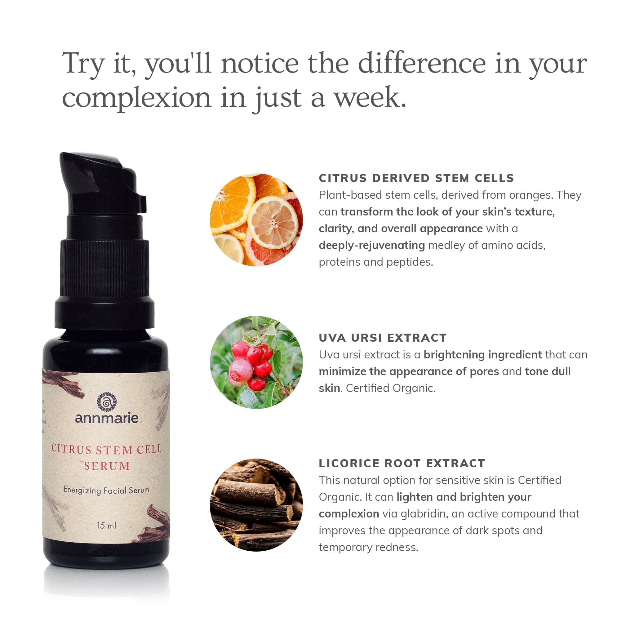 Annmarie Skin Care HIDDEN Citrus Stem Cell Serum (15ml)