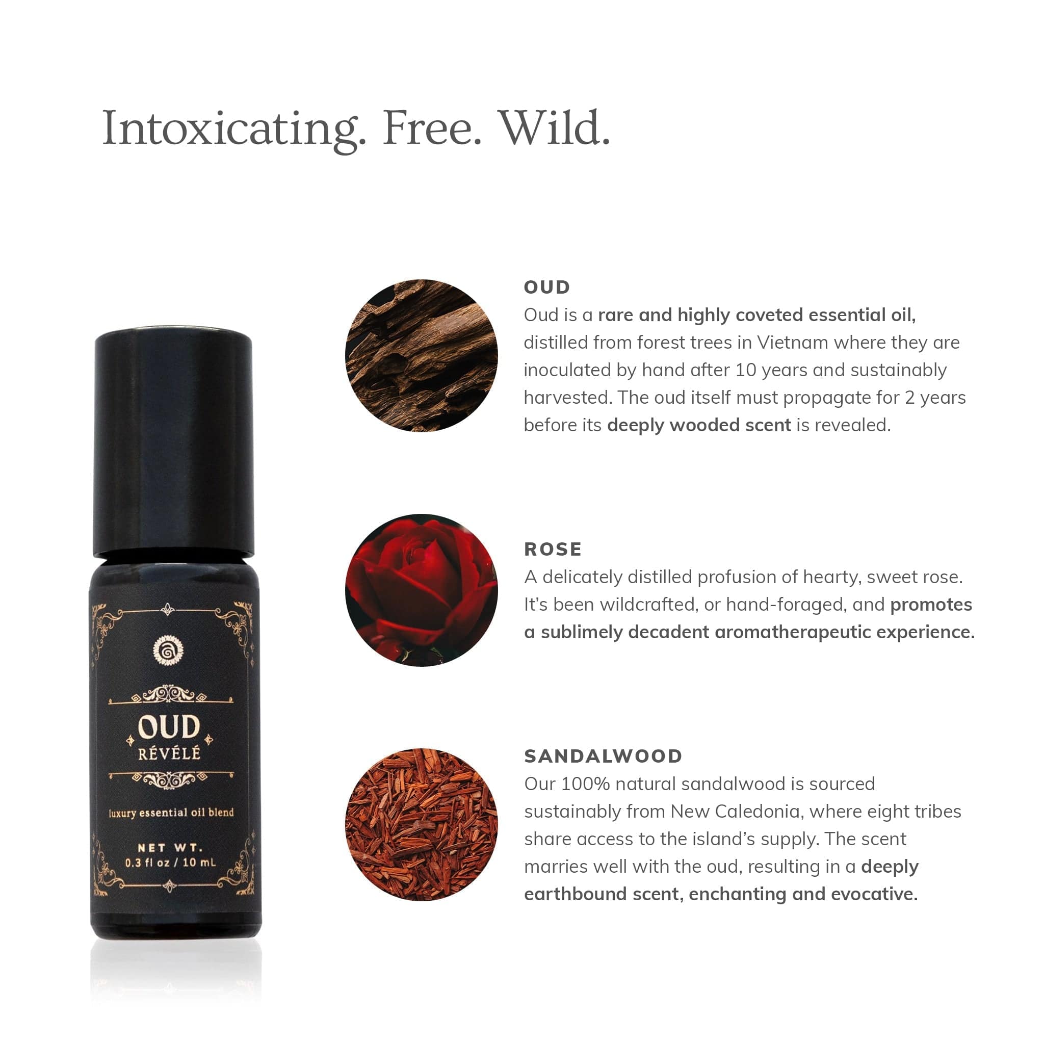 Annmarie Skin Care HIDDEN Oud Révélé (10ml)