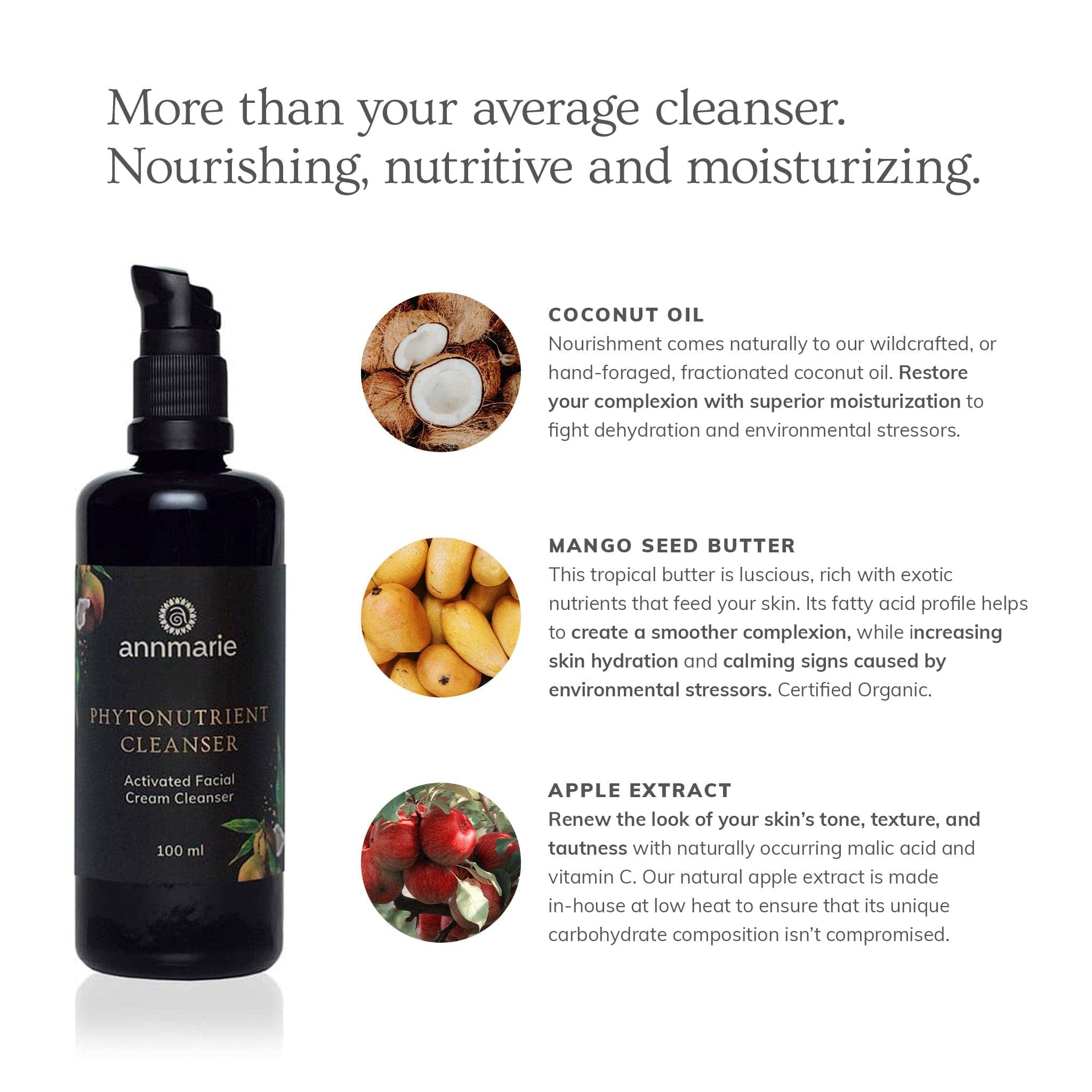 Annmarie Skin Care HIDDEN Phytonutrient Cleanser - Activated Facial Cream Cleanser (100ml)