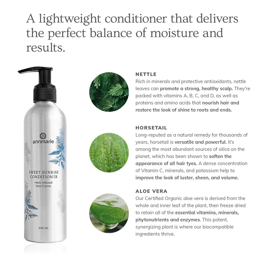 Annmarie Skin Care HIDDEN Sweet Sunrise Conditioner (240ml)