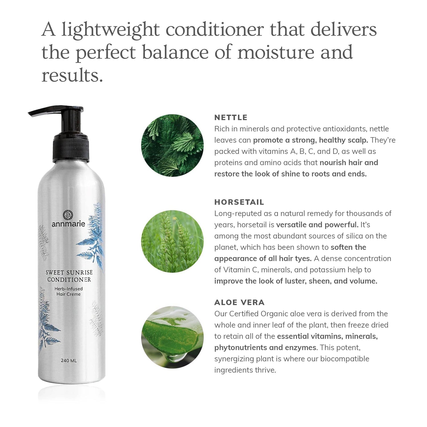 Annmarie Skin Care HIDDEN Sweet Sunrise Conditioner (240ml)